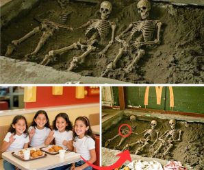 El misterio de la Hacienda de los Niños: Un exmaestro, una camioneta vieja y el escalofriante secreto de 4 niñas que nunca se perdieron.