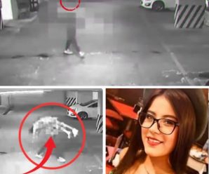 La Noche Que No Terminó: El Misterio de la Joven y Sus Amigos.