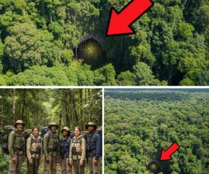 “Las voces de la selva: el misterio de los 7 científicos que regresan del olvido”