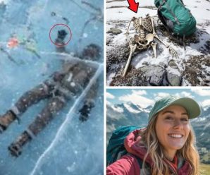 El secreto del “Valle de los Susurros”: La verdad detrás de una desaparición de 10 años que emergió del hielo en México
