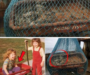 Carretilla oxidada: una pista inquietante para resolver el caso de una persona desaparecida
