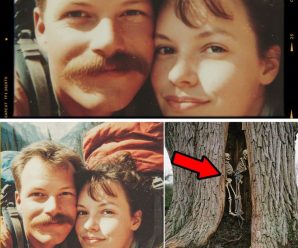 Amor misterioso y muerte trágica: Dos cuerpos abrazándose en un cactus, revelando el oscuro secreto de un respetado portero.
