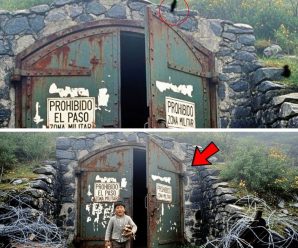 México impactante: Un niño de 11 años se adentra en una ‘zona prohibida’ y descubre secretos aterradores sobre una serie de desapariciones.