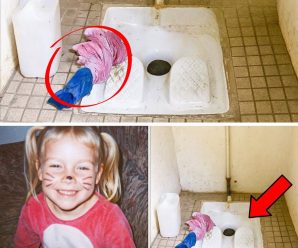 El secreto del baño abandonado: la prenda que resolvió el macabro misterio de Amanda Hart
