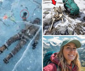 El secreto del “Valle de los Susurros”: Cómo la verdad sobre una desaparición de hace 10 años en México se derritió con el hielo