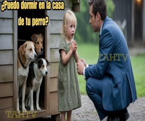 Una niña pobre rogó a un millonario dormir en la caseta del perro —¡su respuesta sorprendió a todos!