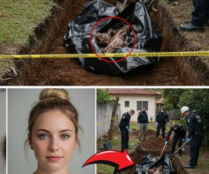 El Escalofriante Final de Márcia Rodrigues: La Verdad Estaba Oculta en las Paredes de su Propio Hogar