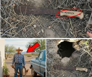 El Machete del Silencio: El Misterio del Campesino de Sonora que Desapareció en el Desierto y la Escalofriante Revelación 7 Años Después