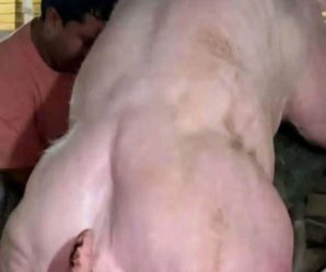 Jóven hospitalizado 😱 tras ser pen…Ver más