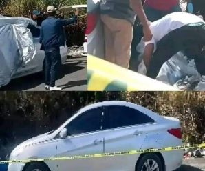 Hace 10 minutos en Los Ángeles, se confirmó que Bruce Willis…Ver más