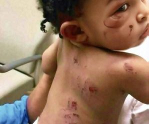 Salvada❤️ por su abuel@ de los maltratos de su p… ver más 👇