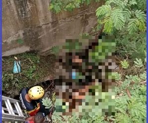 La encuentran sin vida en la autopista, se trata de la recon… Ver mas