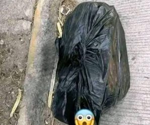 🚨👮‍♂️DEJAN B0LSAS NEGRAS C0N PARTES HUM4N4S EN0… Ver más