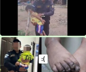 Vecinos denuncian a mujer que maltrataba a su hijo… ver más