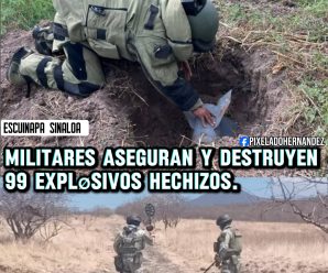 🚨Personal militar asegura y destruye 99 expløsiv0s hechizos en #Escuinapa