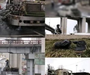 DEVASTADORAS IMAGENES DE…Ver mas