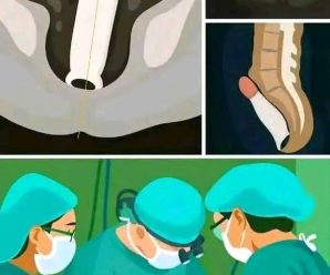 sabías q el pene de los hombres viejos es más…ver más