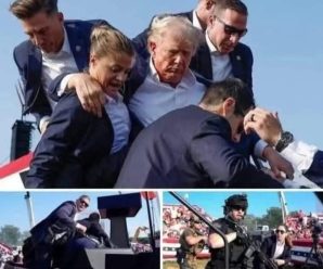 😱Hace 20 minutos🚨El caos como el presidente de Estados Unidos fue…Ver más