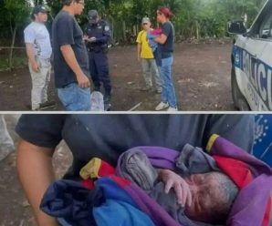 Hoy en la tarde se encontraron un beb…Ver más