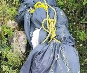 Acaban de encontrar una Mujer MU3TA en plena via publica y lo peor es que… Ver más