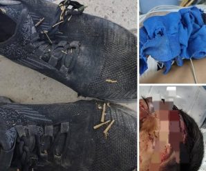 🕊 AYUDA PARA IDENTIFICARLO Y LOCALIZAR A SU FAMILIA 🕊…Ver más