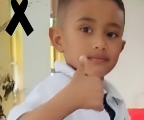 Tenía solo 6 años y le ocurrió lo peor cuando se desmontó de una van, ven a ver lo que hizo él que acabó con su vida.