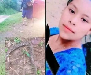Fallece Silvia quien fue mordida por una culebra barbamaria…Ver más