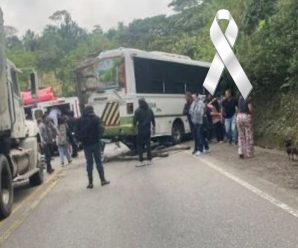 Un paseo que terminó en una triste traged… Ver más