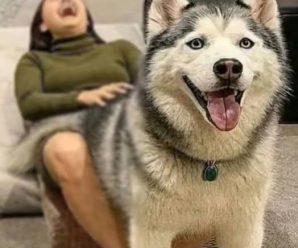 Joven fue hospitalizada tras ser pen…Ver más