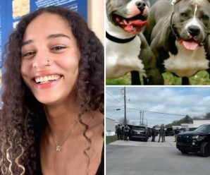🇺🇸 TEXAS EN SHOCK: JOVEN DE 23 AÑOS MUERE ATACADA POR TRES PERROS PITBULLS… ver más