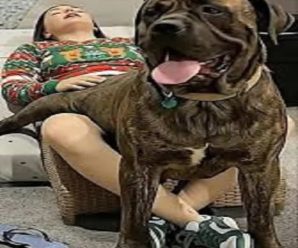 J0ven fue h0spit4liz4d4 tras ser p3n…Ver más