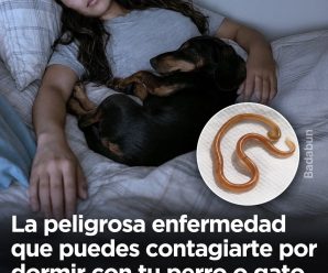 Ultimo Minuto capturan al ase…Ver más