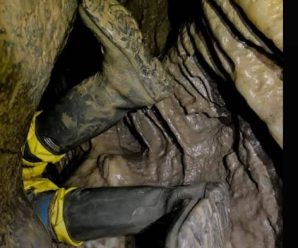 Quedo atrapado mientras estab…Ver más