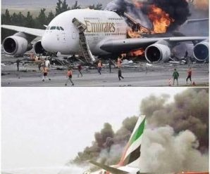 ¡¡NOTICIAS DE ÚLTIMA HORA!! Tristes noticias acaban de confirmar el fall3cimiento de… Ver más