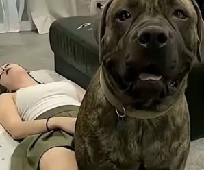 Joven fue hospitalizada tras ser pen…Ver más