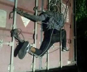 Rescatan enredado en unos cables el cue…Ver más