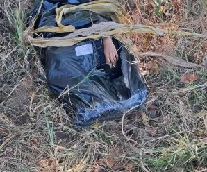 🚨Localizan en bolsas negras el cue… Ver más