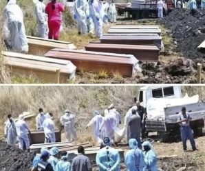 Alerta mundial para los vacunados… Ver más