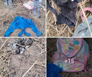 Encuentran sitio con varios restos humanos parece que… ver más