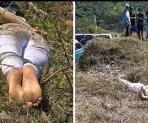 Horror 😱Esta linda madre fue encontrada hace un momento sin cabe…Ver más