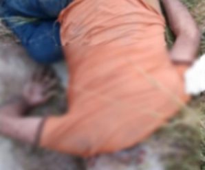 #ULTIMAHORA Trágico accidente tras las fiestas en Bueno… Ver más