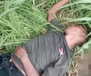 ¡ULTIMA HORA! Acaban de confirmar lo peor…Ver más
