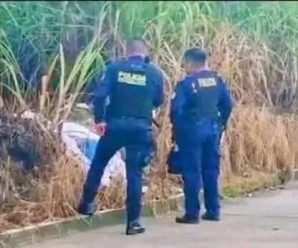 DESGARRAD0R: Una n1ña de 4 años d0na sus 0j0s antes de part… Ver más