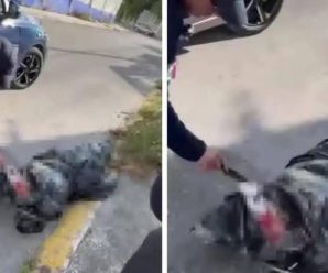 🚨AVIENTAN UN “BULTO” EN LA CALLE… Ver más