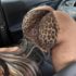 Cuand0 una mujer se p0ne en 4 es q 99…. ver más