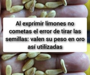 10 Beneficios Asombrosos de las Semillas de Limón