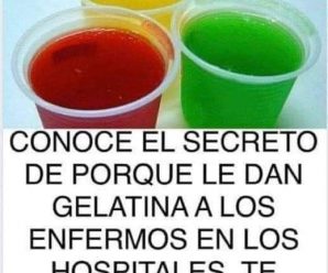 Razones por las cuales debes empezar a comer Gelatina todos los días, beneficios y cómo prepararla.