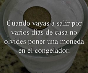 Cuando vayas a salir por varios días de tu casa, no olvides poner una moneda en el refrigerador