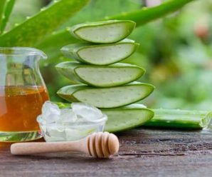 Combate 5 problemas de salud con jugo de Aloe Vera, así se prepara (Video)