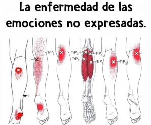 La fibromialgia: La enfermedad de las emociones no expresadas